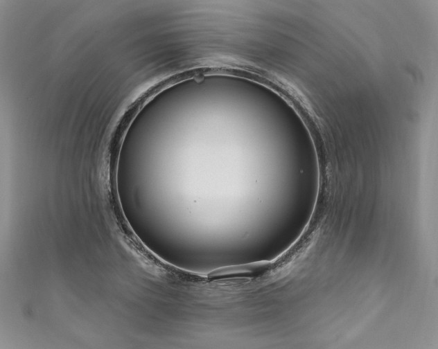 X0000111200931200907011430