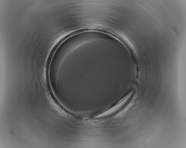 X0000111200932200907011430