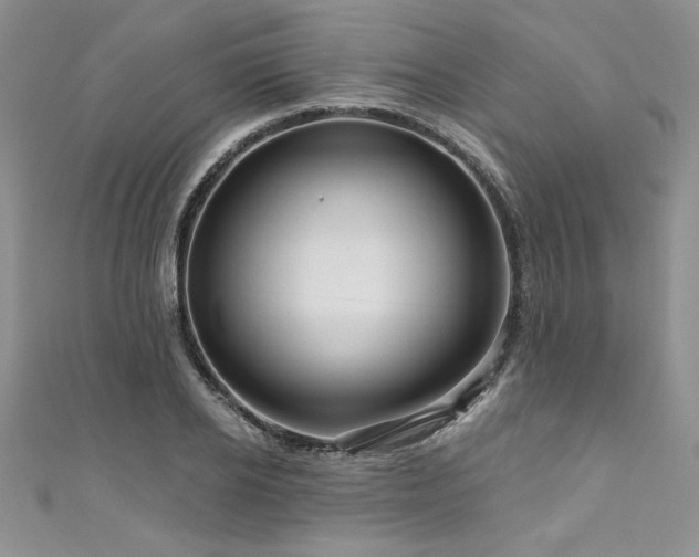 X0000111200934200907011430