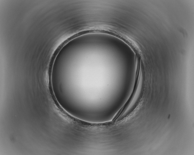 X0000111200936200907011430