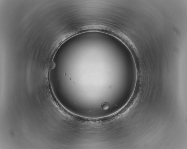 X0000111200937200907011430