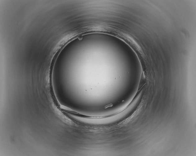 X0000111200938200907011430