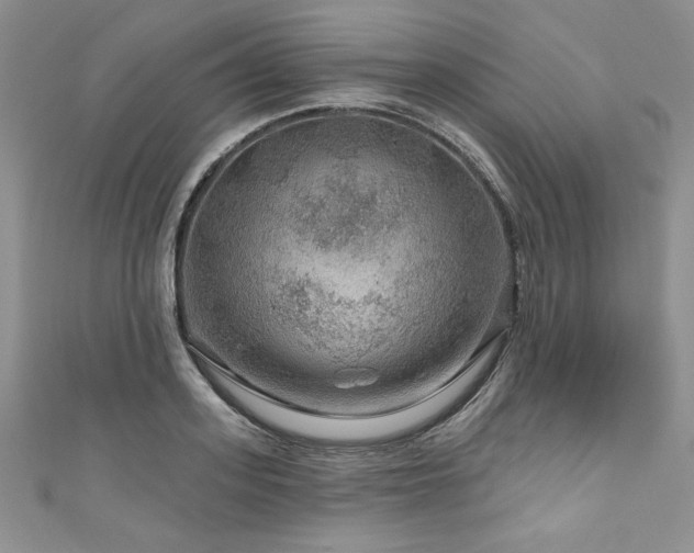 X0000111200939200907011430