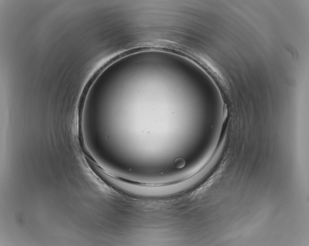 X0000111200940200907011430