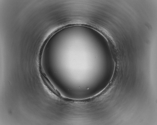 X0000111200942200907011430