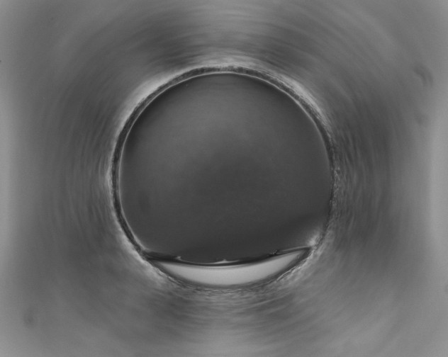 X0000111200943200907011430