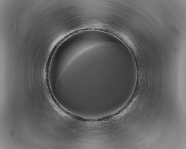 X0000111200944200907011430