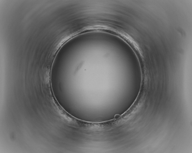 X0000111200945200907011430