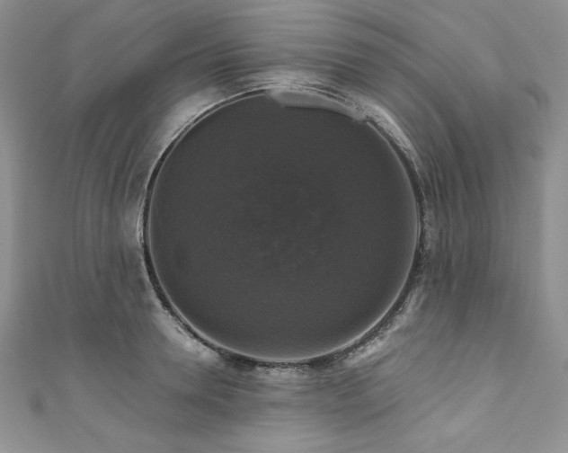 X0000111200946200907011430