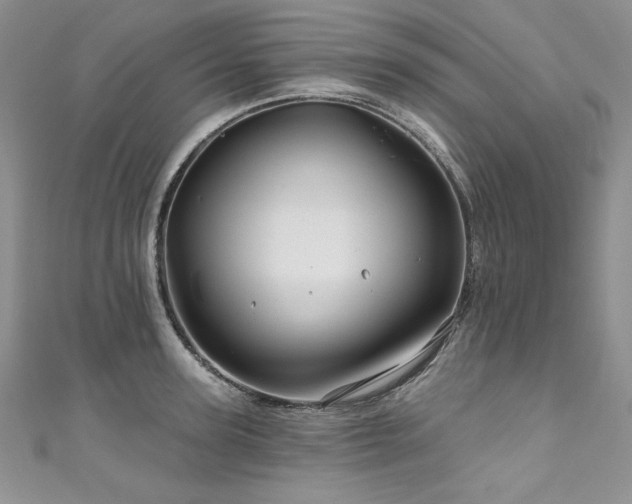 X0000111200947200907011430