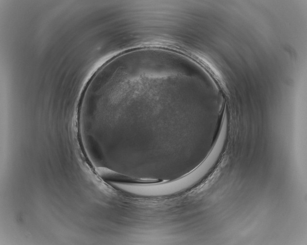 X0000111200948200907011430