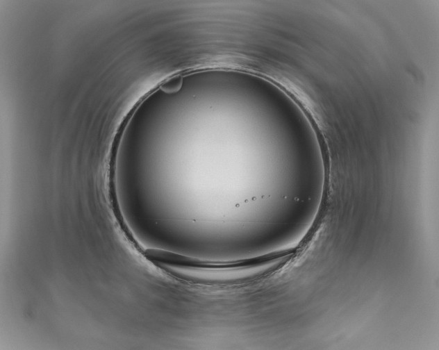 X0000111200949200907011430