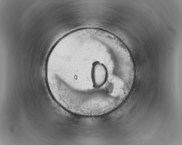 X0000111200950200907011430