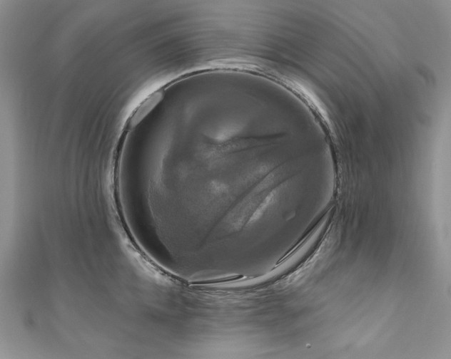 X0000111200952200907011430