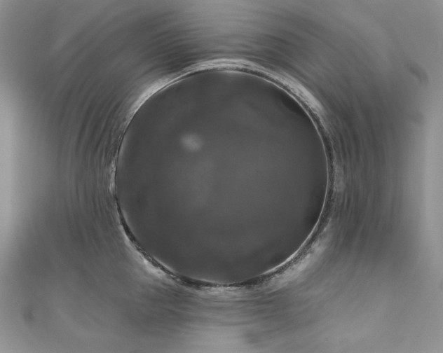 X0000111200953200907011430