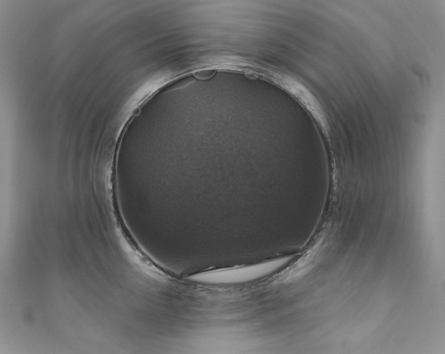 X0000111200954200907011430