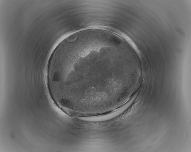 X0000111200955200907011430