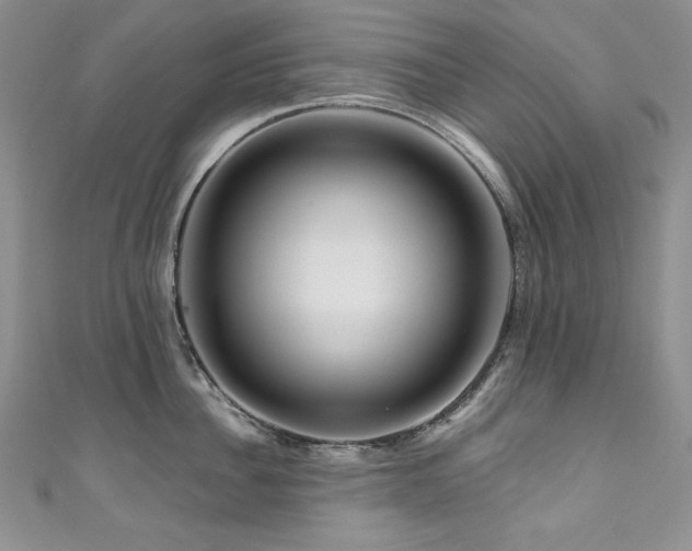 X0000111200956200907011430