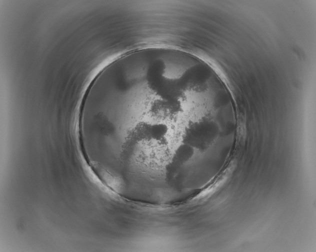 X0000111200957200907011430