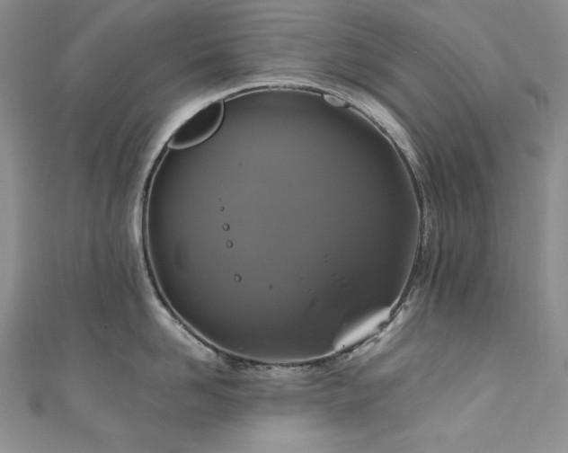 X0000111200958200907011430