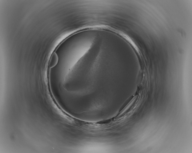 X0000111200959200907011430