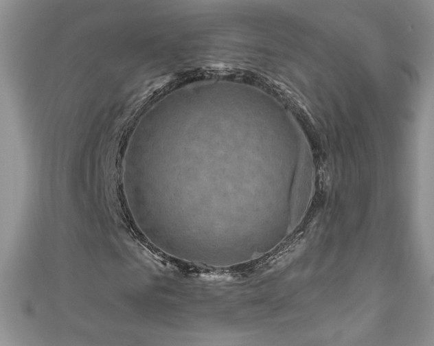 X0000111200961200907011430