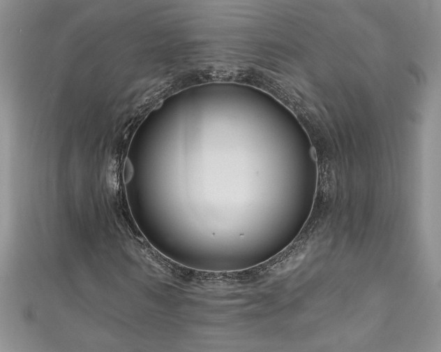 X0000111200962200907011430