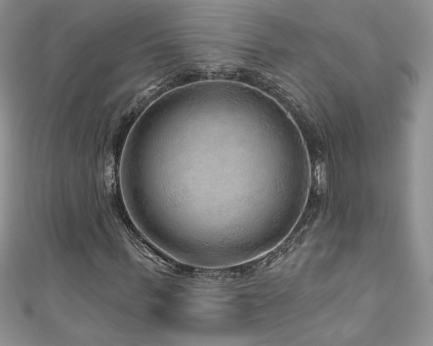 X0000111200963200907011430