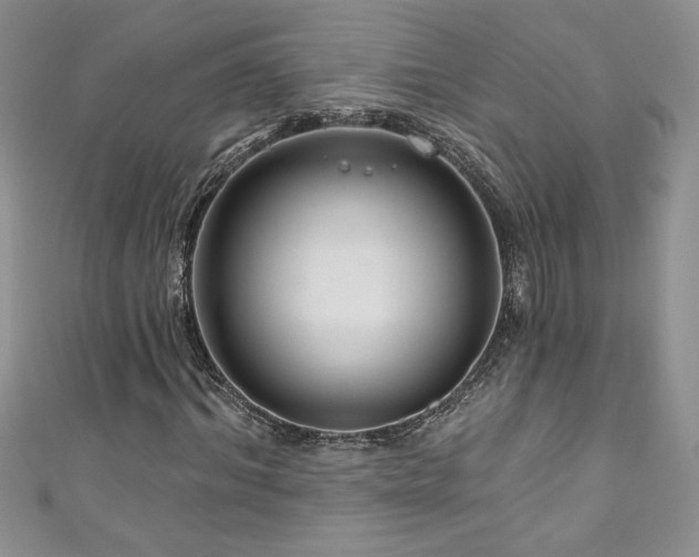 X0000111200964200907011430