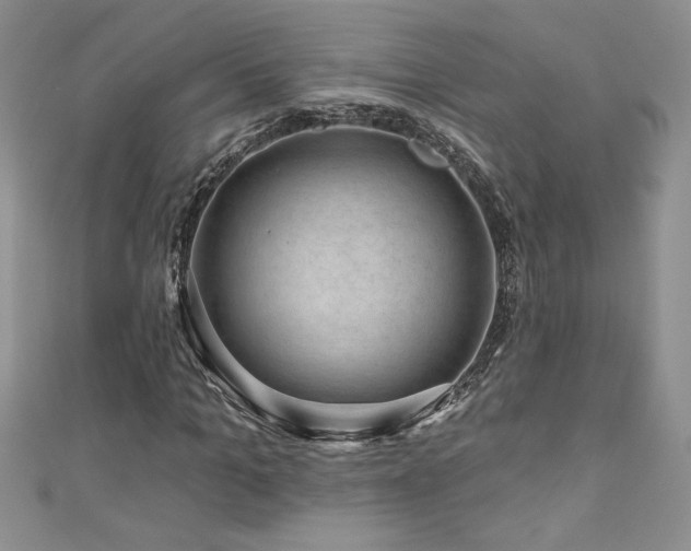 X0000111200965200907011430