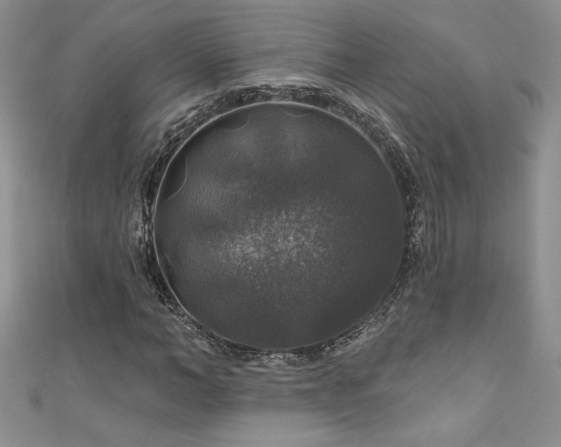 X0000111200966200907011430