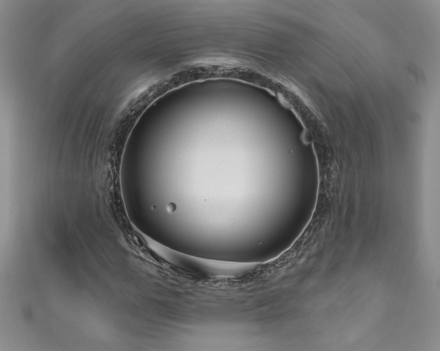 X0000111200967200907011430