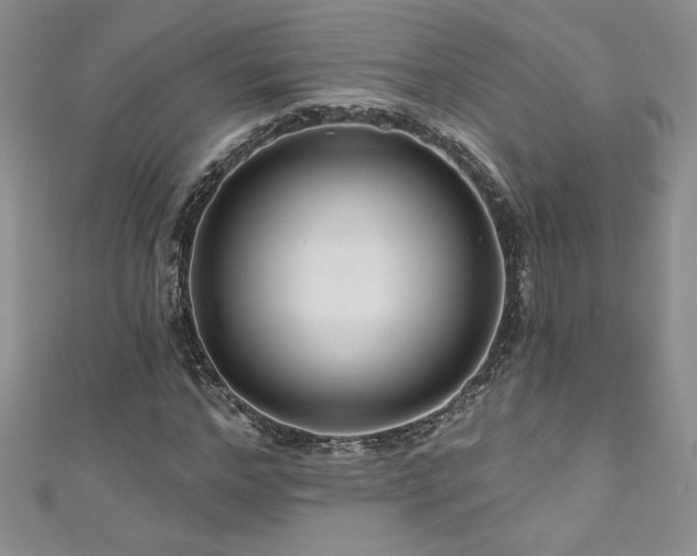 X0000111200968200907011429