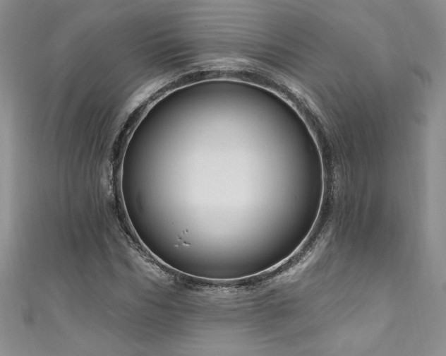 X0000111200970200907011429