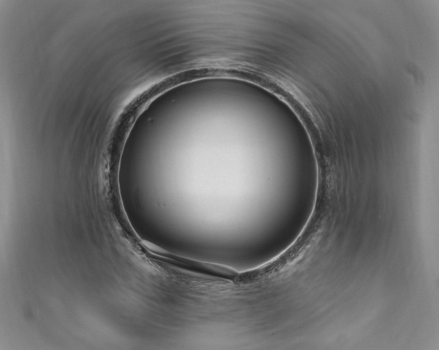 X0000111200971200907011429