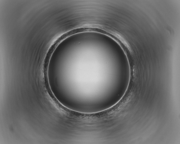 X0000111200972200907011429