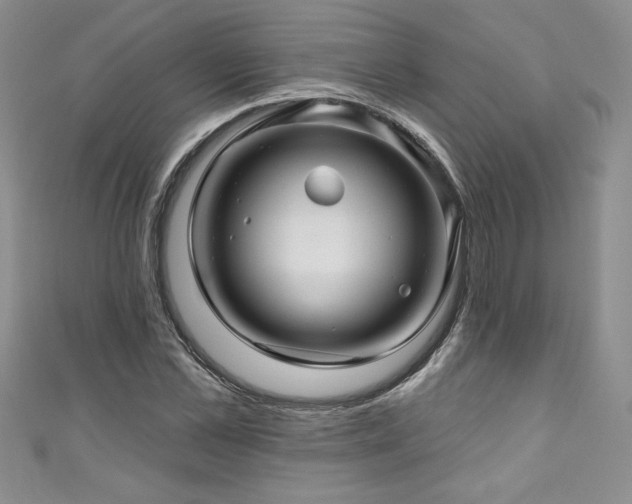 X0000111200973200907011429