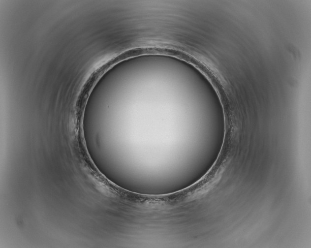 X0000111200974200907011429