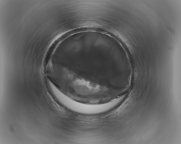 X0000111200975200907011429