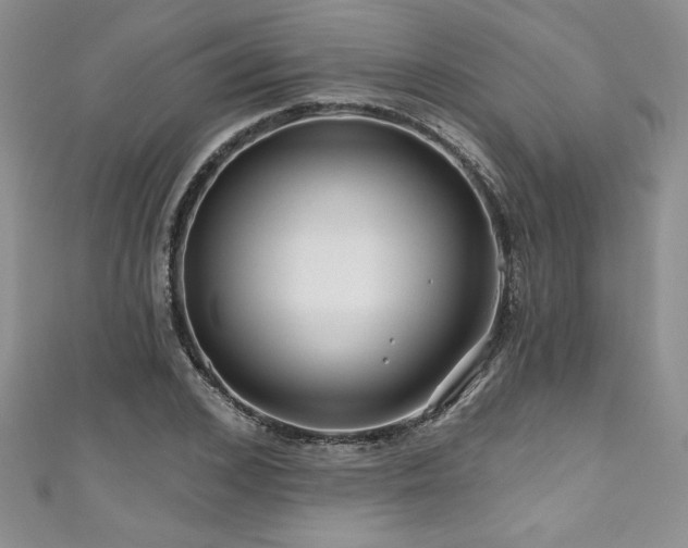 X0000111200976200907011429