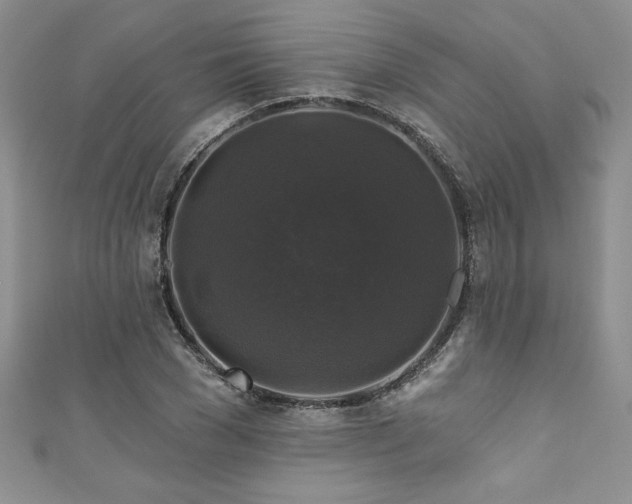 X0000111200977200907011429