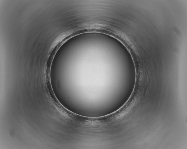 X0000111200978200907011429