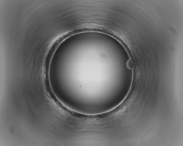 X0000111200979200907011429