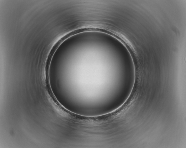 X0000111200980200907011429