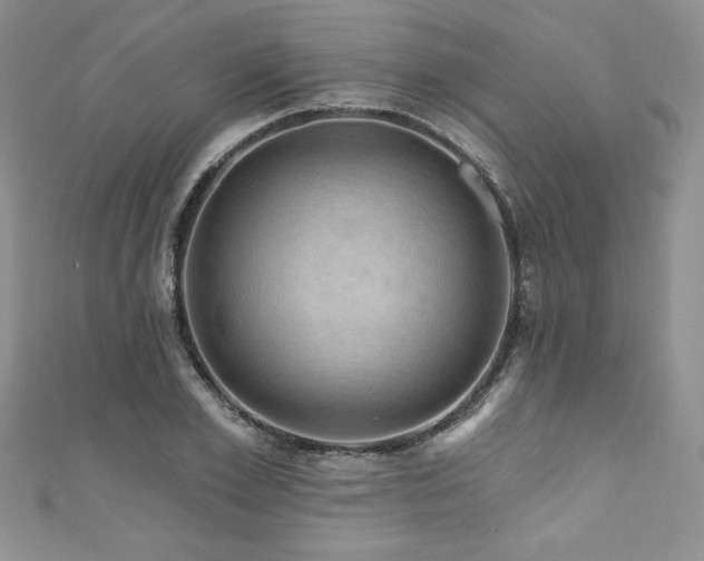 X0000111200981200907011429