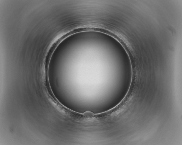 X0000111200982200907011429