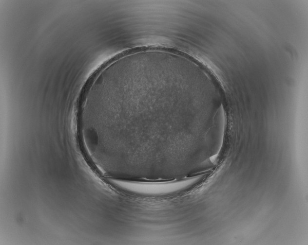 X0000111200983200907011429