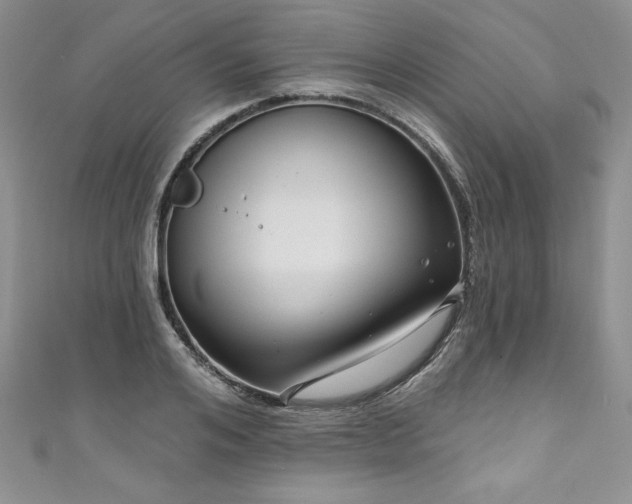 X0000111200984200907011429