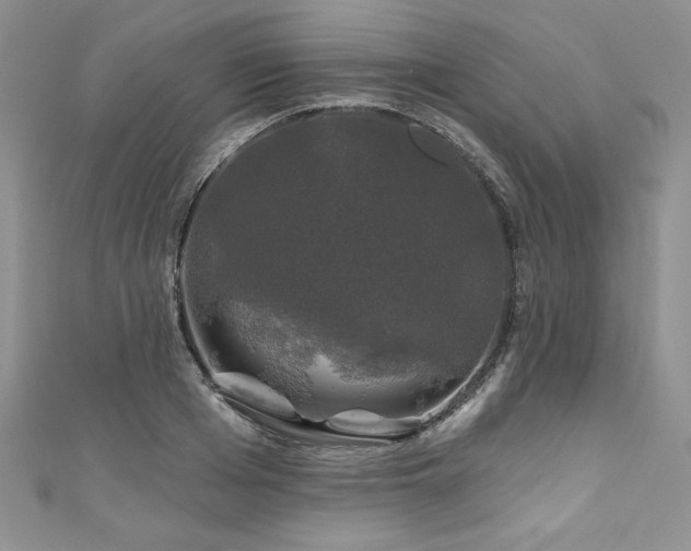 X0000111200985200907011429