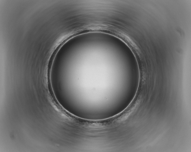 X0000111200986200907011429